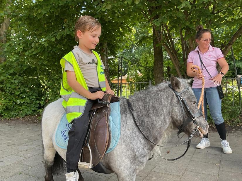 zomerfeest_denilp_2025