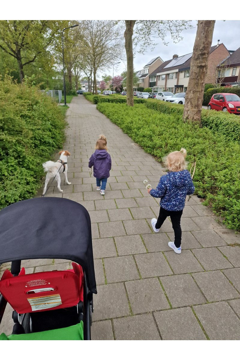 wandelen met de kinderen en hond