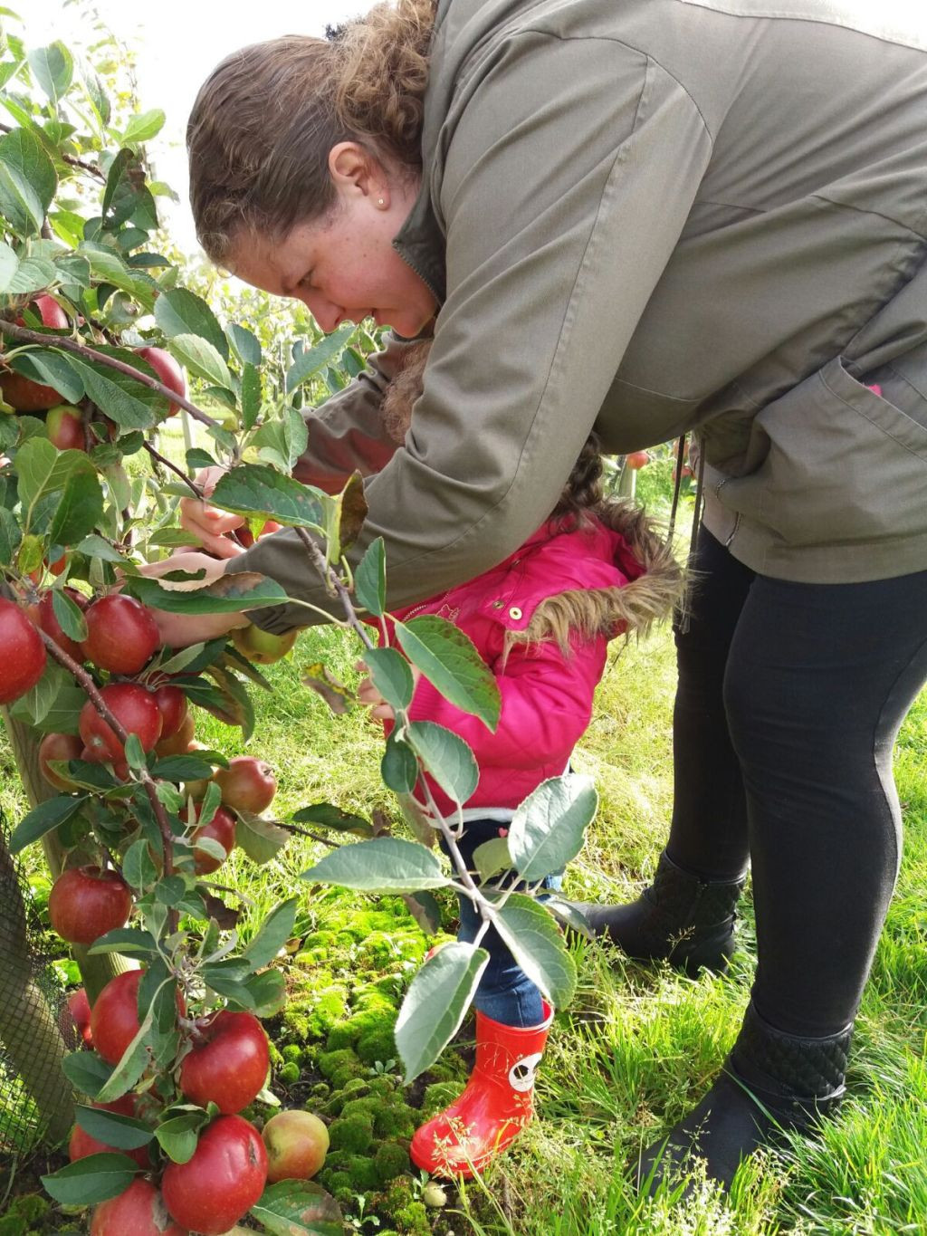 gastouder Denise plukt appels met kind