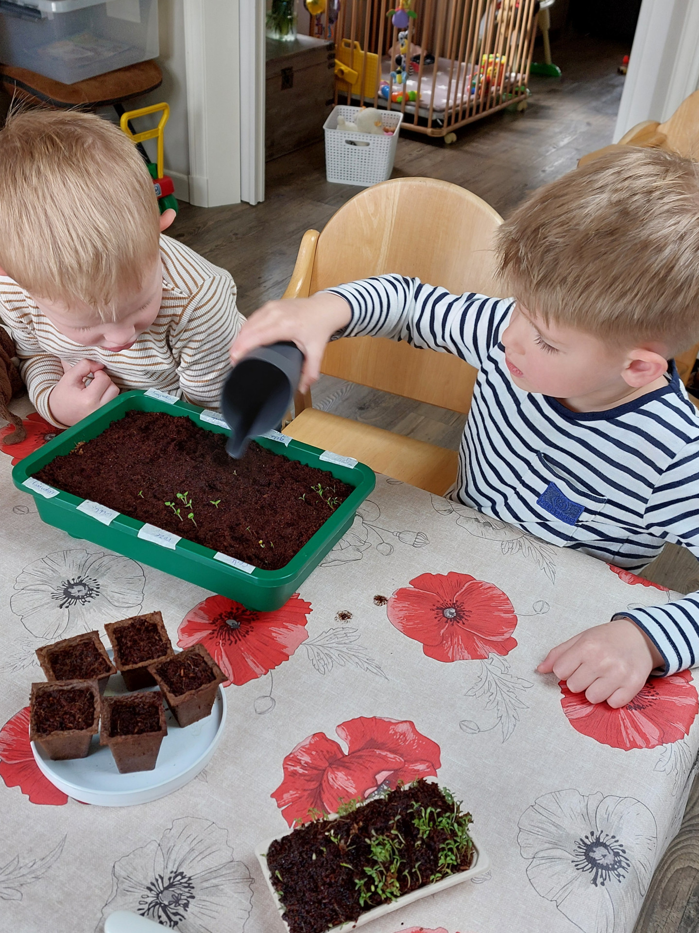 kinderen geven water aan moestuin