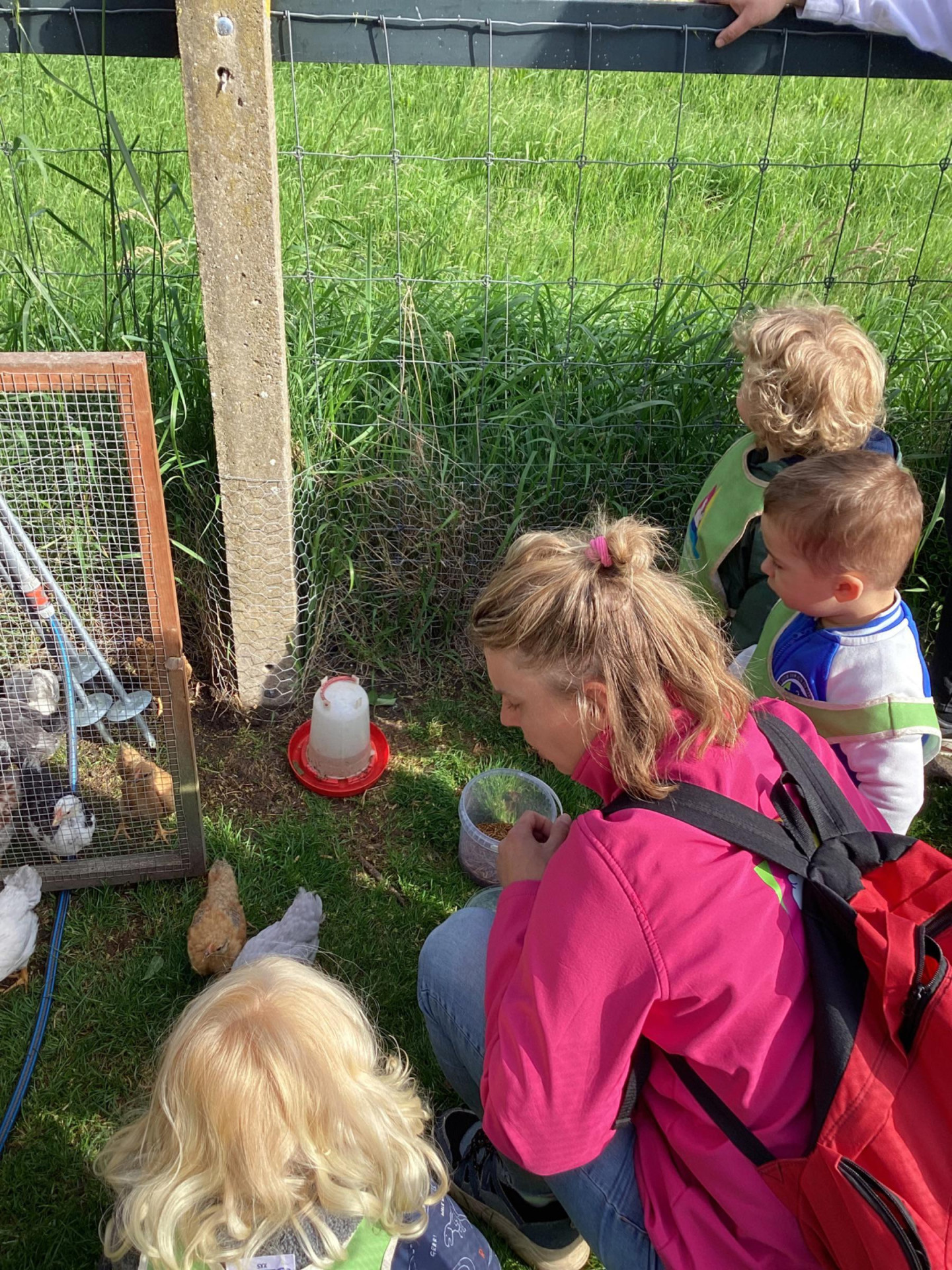 kinderen kijken van dichtbij naar kuikens