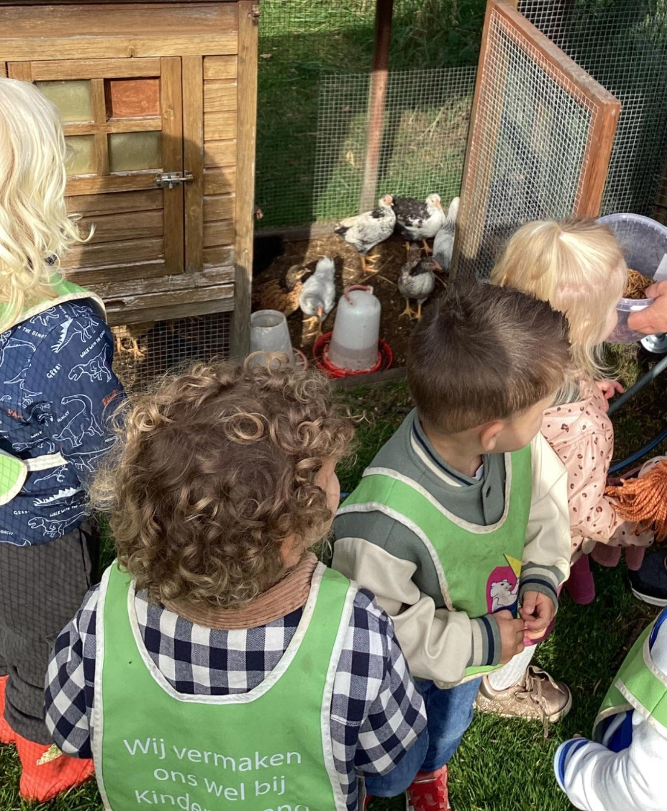 kinderen bij de kippen