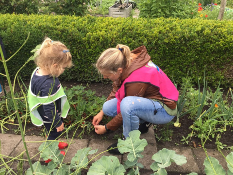kind en pedagogisch professional zijn in moestuin