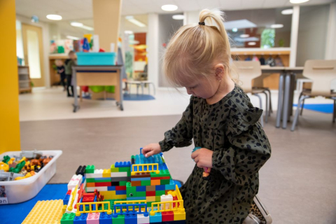 peuter speelt met duplo